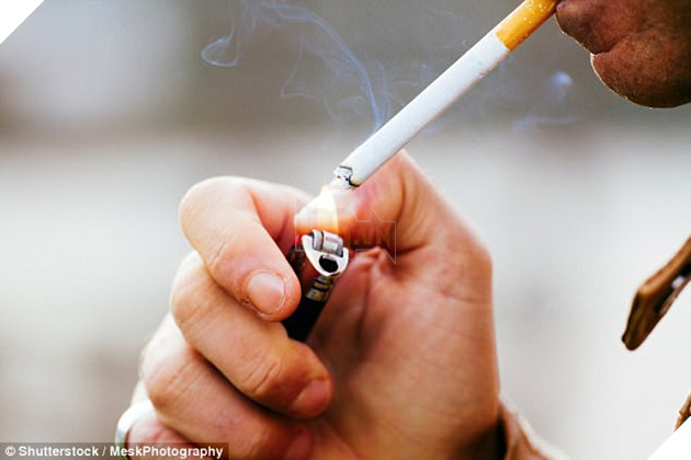 
Thuốc lá đang giết chết 7 triệu người mỗi năm và hơn 1 tỷ người cho đến hết thế kỷ
