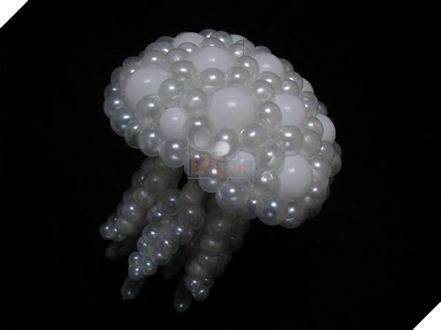 Thế giới động vật sống động được làm từ những quả bóng bay mỏng manh - Ảnh 20.