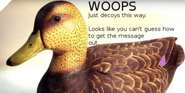 Cicada 3301: Tổ chức bí ẩn và kì lạ nhất trên Internet là ai? - Ảnh 2.