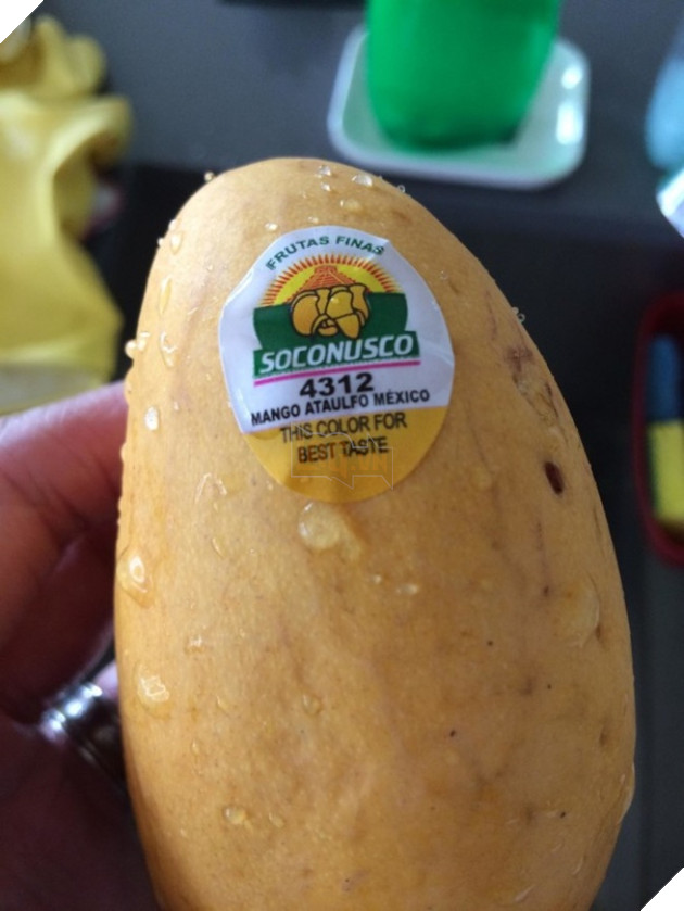 15 phát minh hữu ích giúp cuộc đời không còn là bể khổ - Ảnh 5.