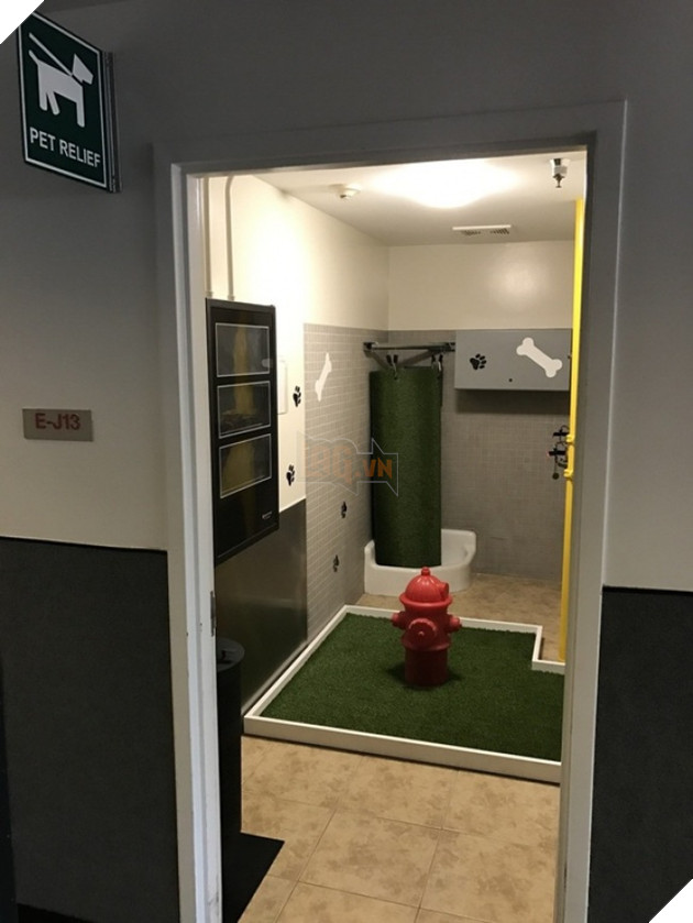 15 phát minh hữu ích giúp cuộc đời không còn là bể khổ - Ảnh 15.