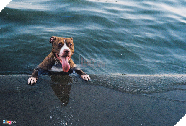 Hinh anh nang nong chua tung thay hon 40 nam qua o Ha Noi hinh anh 19