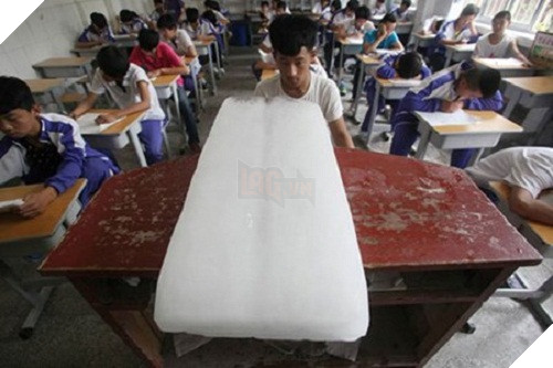 Những hình ảnh bá đạo trên từng hạt gạo vào mùa nắng nóng trên khắp thế giới - Ảnh 29.