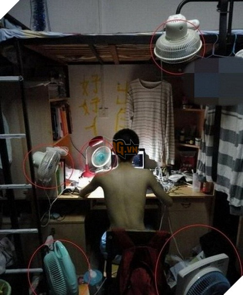 Những hình ảnh bá đạo trên từng hạt gạo vào mùa nắng nóng trên khắp thế giới - Ảnh 33.