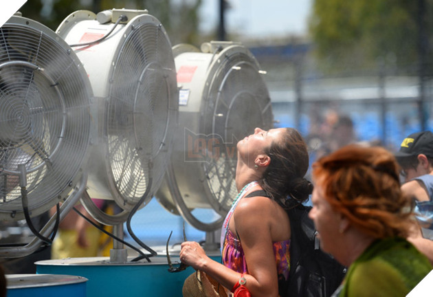 Những đợt nắng nóng kỷ lục gây chết người trên thế giới - Ảnh 4.