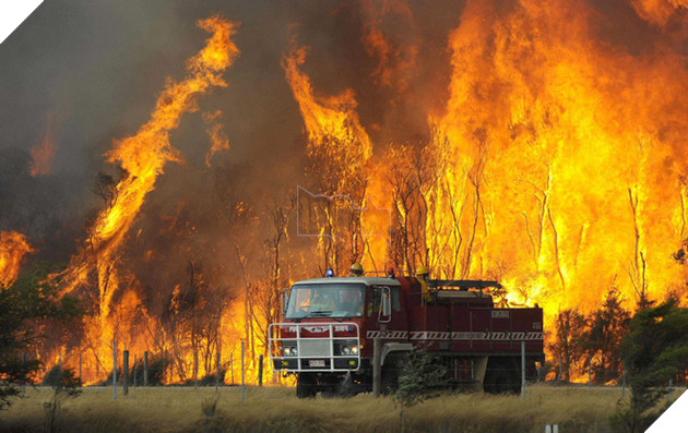 Những đợt nắng nóng kỷ lục gây chết người trên thế giới - Ảnh 7.