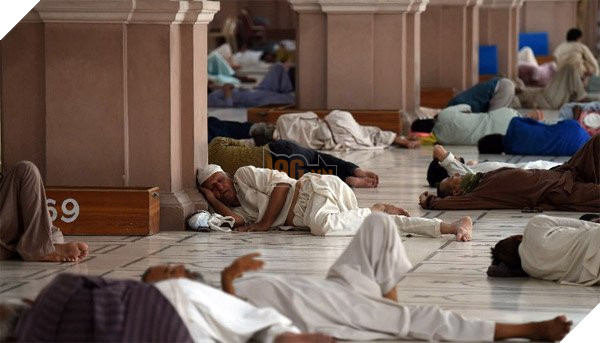 Những đợt nắng nóng kỷ lục gây chết người trên thế giới - Ảnh 9.