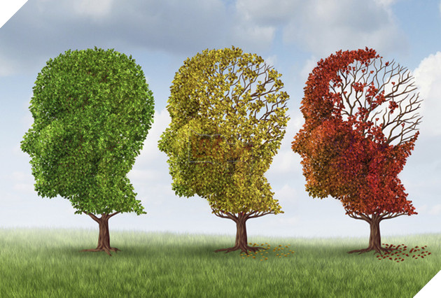 Những giấc mơ kỳ lạ về bạo lực có thể là dấu hiệu cảnh báo sớm cho những căn bệnh về thoái hóa thần kinh 3