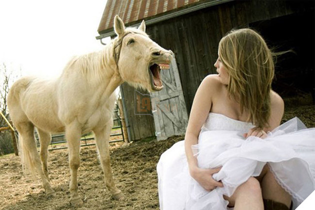 10 khoanh khac 'khong the hai huoc hon' trong dam cuoi hinh anh 5