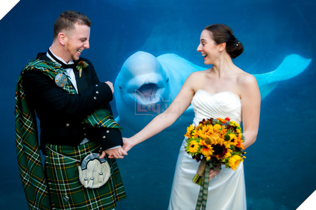 10 khoanh khac 'khong the hai huoc hon' trong dam cuoi hinh anh 2