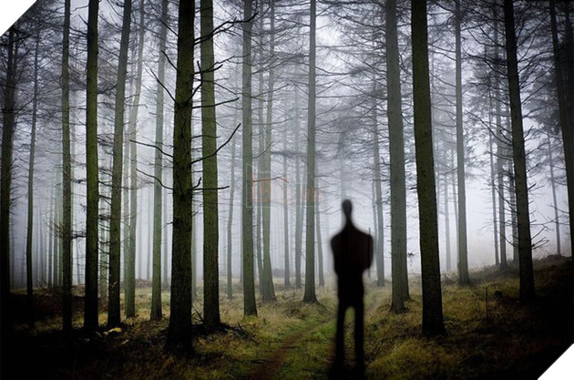 Vén bức màn bí ẩn đằng sau nỗi ám ảnh mang tên Slender Man, bạn chắc chắn cũng phải bất ngờ - Ảnh 3.