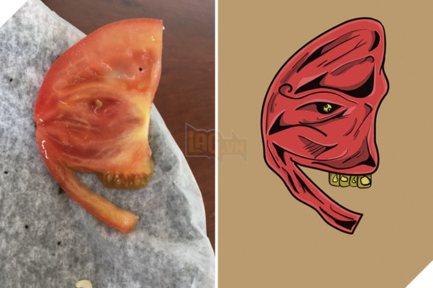 
Tôi vốn là quả cà chua chín, nửa kia rơi đâu mất rồi. Hạt giống sẽ nảy mầm và làm loài người khiếp sợ, cá rằng bạn sẽ không tim thấy tôi trong chai tương cà...
