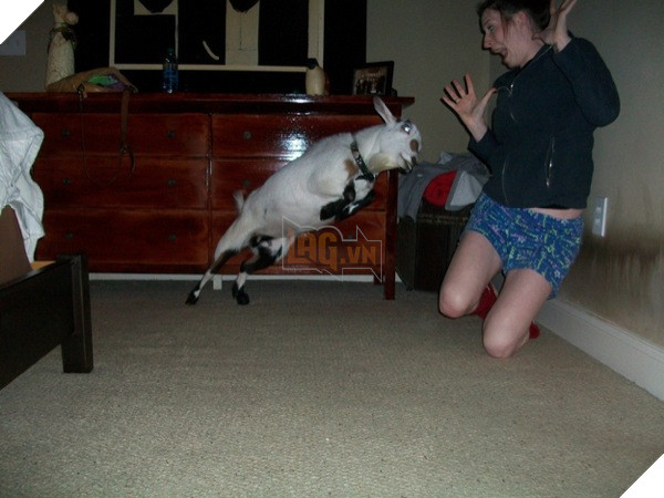 17 tai nạn chứng tỏ cuộc đời này đầy rẫy những chuyện xấu hổ muốn độn thổ - Ảnh 7.