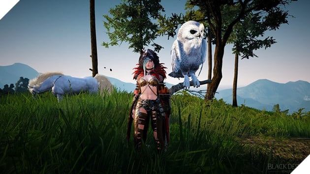 Black Desert: Bản cập nhật mùa hè cực lớn đã ra mắt tại Hàn Quốc