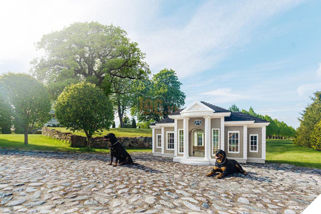 Đây là chiếc chuồng chó xa hoa nhất thế giới, giá 4,5 tỷ đồng, cần bốn tháng để xây dựng 3