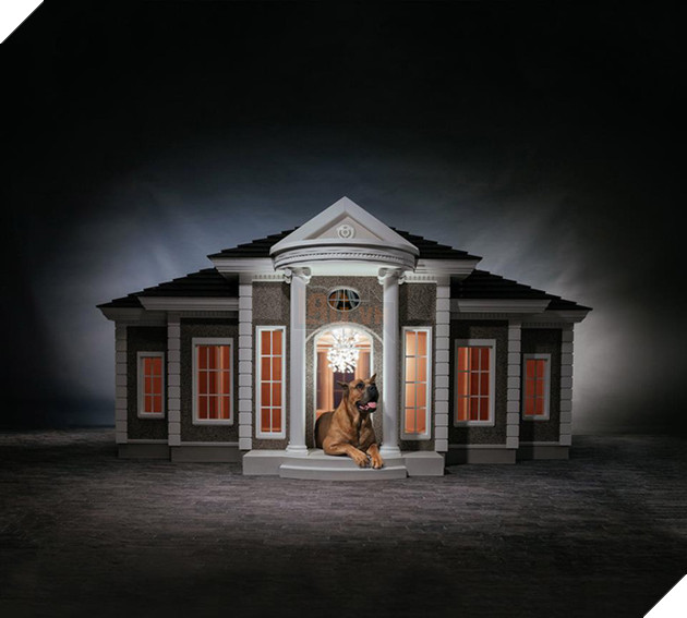 Đây là chiếc chuồng chó xa hoa nhất thế giới, giá 4,5 tỷ đồng, cần bốn tháng để xây dựng 4