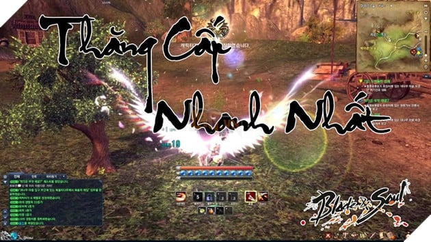 BnS: Cách cày cấp và kinh nghiệm cấp 45 nhanh nhất dành cho tân thủ