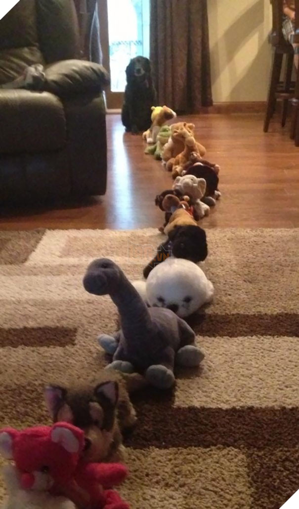 He Thinks He Has To Wait In Line To Get A Treat