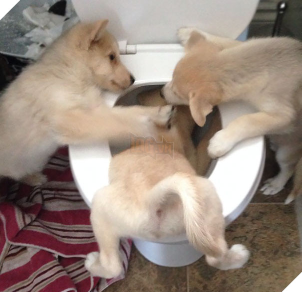 Walk In To Find These Two Trying To Drown Their Brother