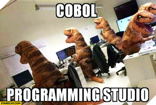 
COBOL, một công nghệ có khi còn nhiều tuổi hơn... cha mẹ chúng ta.
