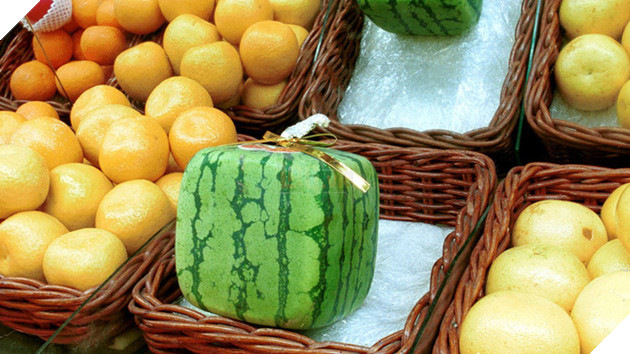 20 phát minh tuyệt vời của Nhật Bản đã thực sự thay đổi thế giới - Ảnh 18.