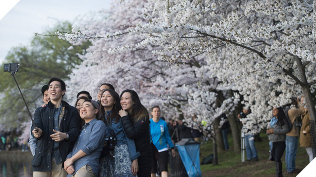 20 phát minh tuyệt vời của Nhật Bản đã thực sự thay đổi thế giới - Ảnh 1.