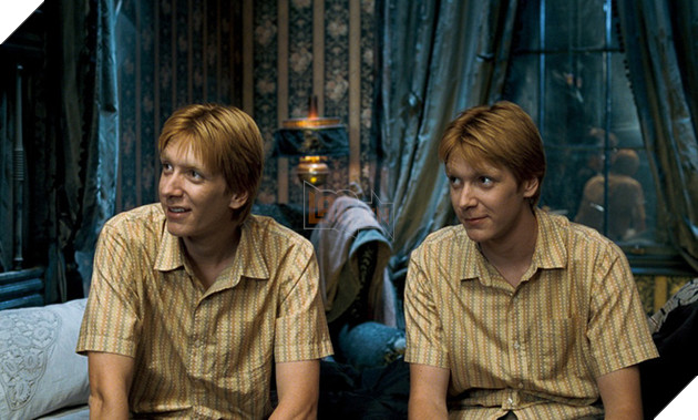 10 sự thật tăm tối về phim Harry Potter mà ngay cả fan ruột cũng chưa chắc biết được - Ảnh 4.