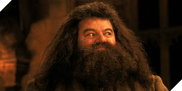 10 sự thật tăm tối về phim Harry Potter mà ngay cả fan ruột cũng chưa chắc biết được - Ảnh 6.