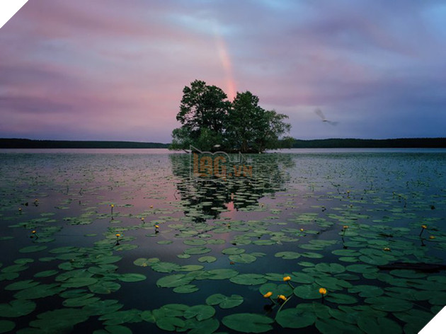 25 tấm hình bạn sẽ không dám tin lại được chụp bằng iPhone - Ảnh 16.