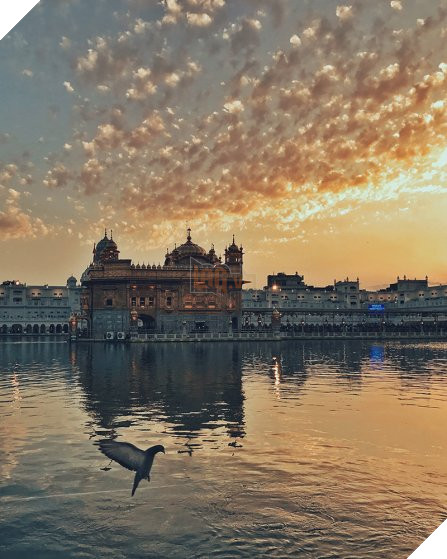 25 tấm hình bạn sẽ không dám tin lại được chụp bằng iPhone - Ảnh 23.