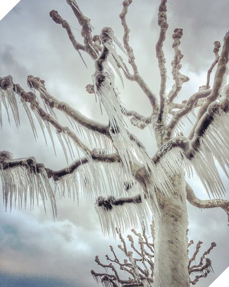 25 tấm hình bạn sẽ không dám tin lại được chụp bằng iPhone - Ảnh 25.