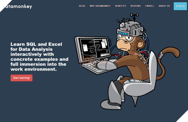 40 trang học online dạy bạn mọi thứ trên đời 4