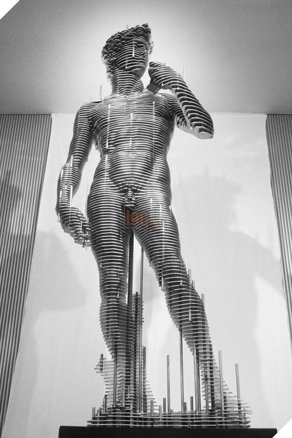 
Tượng David, một tác phẩm được phỏng theo nguyên tác của Michelangelo. Được làm từ hàng trăm miếng kim loại dát mỏng, trông bức tượng có một sự đặc rỗng mềm mại và đầy sức truyền cảm.

 
