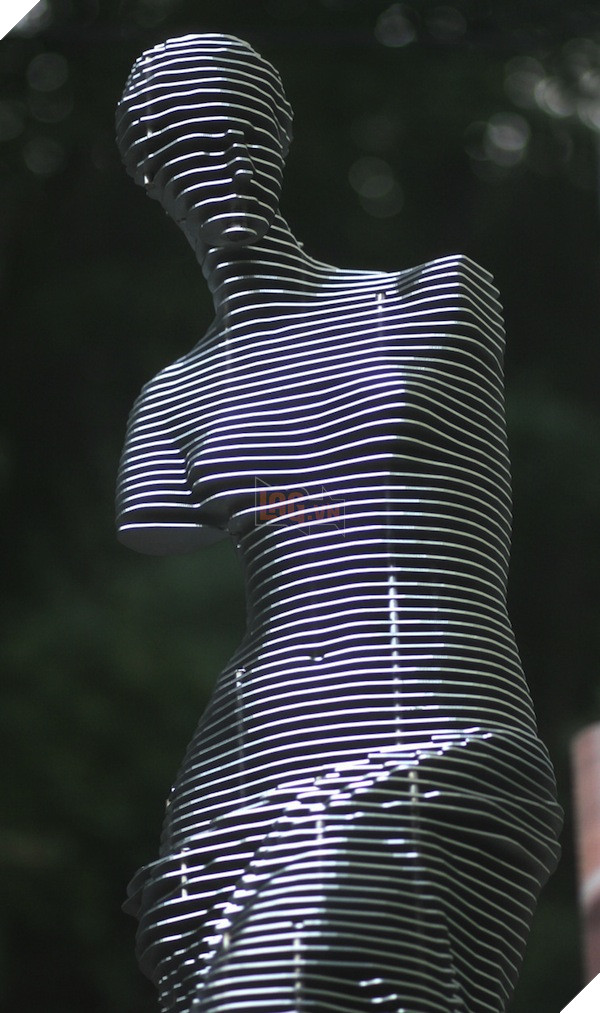 Không ai nghĩ những tấm kim loại cắt lát có thể tạo ra kiệt tác như thế này! 11