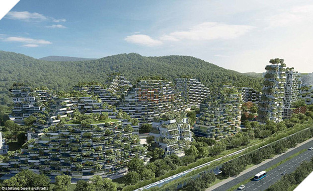 Choáng ngợp trước thành phố rừng xanh đầu tiên của thế giới với 1 triệu cây - Ảnh 2.