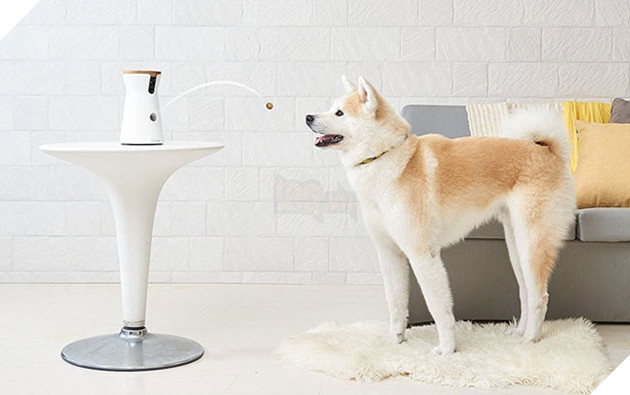 10 thiết bị thông minh cho thấy ta đang sống trong kỷ nguyên của công nghệ tương lai: có cả lò vi sóng tích hợp trí tuệ nhân tạo