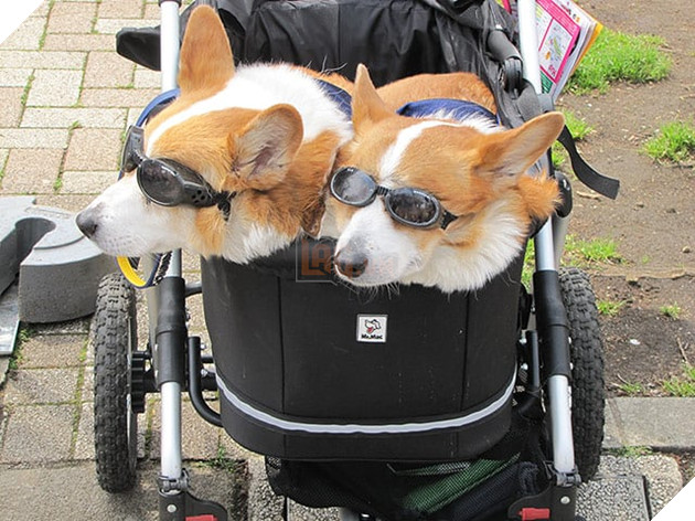 12 phát minh độc đáo chỉ có ở Nhật Bản - Ảnh 4.