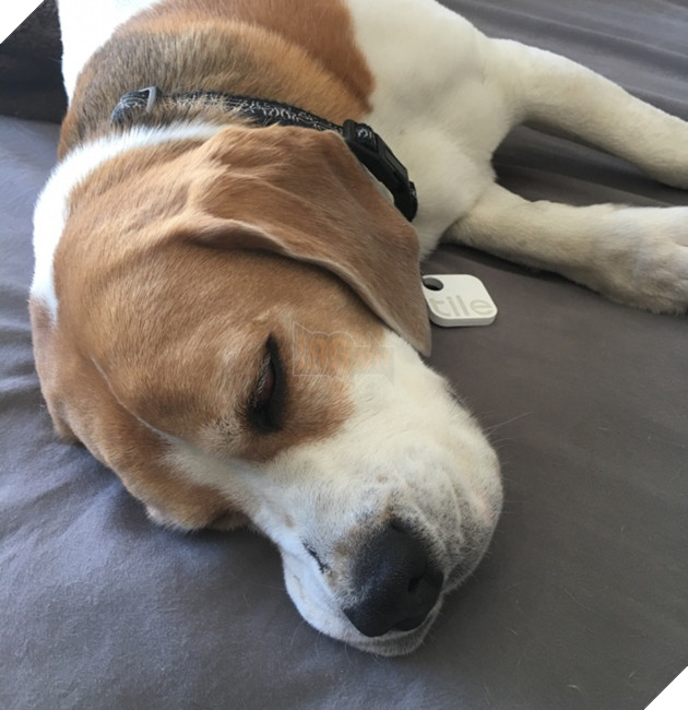 10 thiết bị công nghệ cao mà bạn không ngờ đến vì sự tồn tại của nó - Ảnh 8.