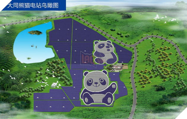 Trung Quốc xây dựng trang trại năng lượng mặt trời độc nhất vô nhị trên thế giới, hình gấu trúc 3