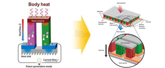 Nhiệt lượng cơ thể được chuyển hóa thành điện năng