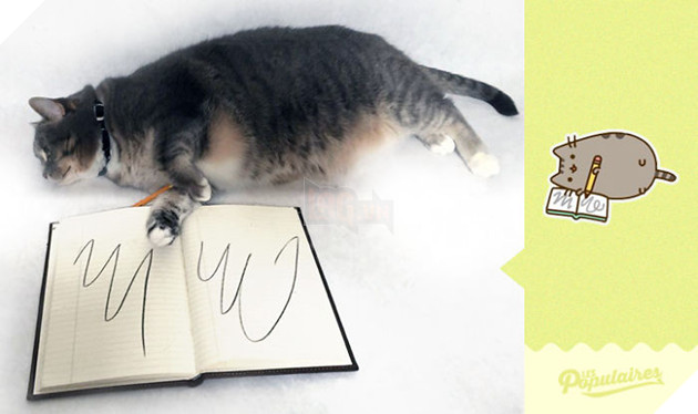 Rụng tim với chú mèo hóa trang thành mèo Pusheen cực đáng yêu 10