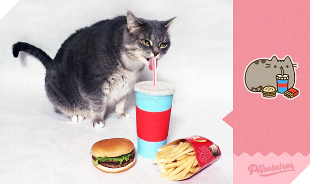 Rụng tim với chú mèo hóa trang thành mèo Pusheen cực đáng yêu