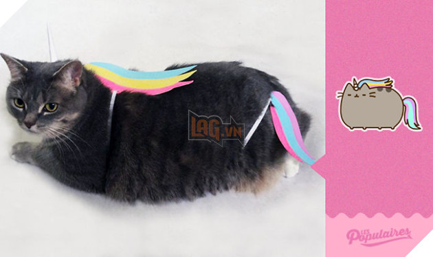 Rụng tim với chú mèo hóa trang thành mèo Pusheen cực đáng yêu 4