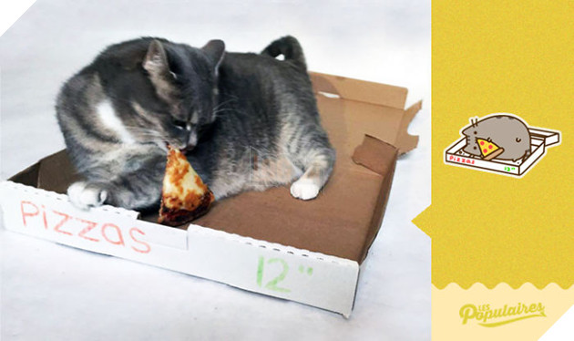 Rụng tim với chú mèo hóa trang thành mèo Pusheen cực đáng yêu 6