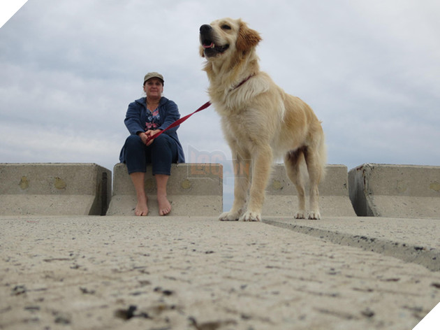 Ảnh độc: 16 bức ảnh làm bạn phải nhìn mấy lần mới hiểu vấn đề - Ảnh 9.