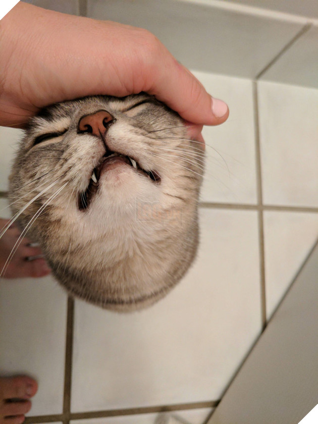 Ảnh độc: 16 bức ảnh làm bạn phải nhìn mấy lần mới hiểu vấn đề - Ảnh 17.