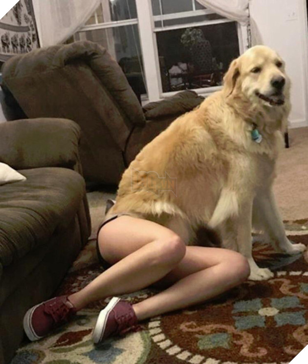 16 bức ảnh làm bạn phải nhìn mấy lần mới hiểu vấn đề - Ảnh 23.