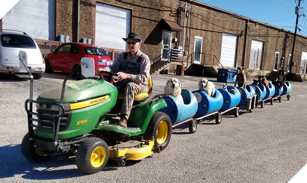 rescued-dog-train-tractor-stray-eugene-bostick-7