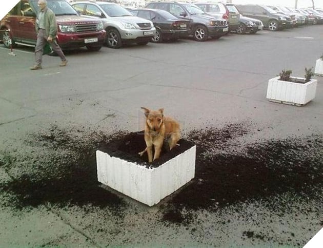 Mệt mỏi với thái độ “lồi lõm” của lũ boss khi bị ăn mắng 10