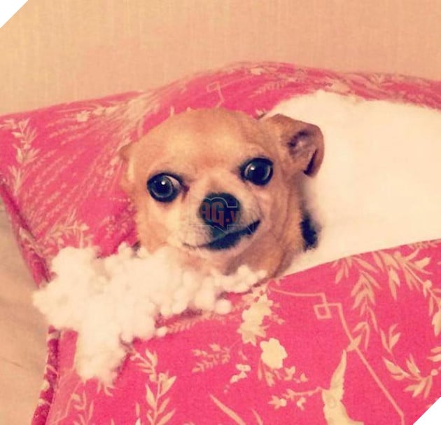 Mệt mỏi với thái độ “lồi lõm” của lũ boss khi bị ăn mắng 11